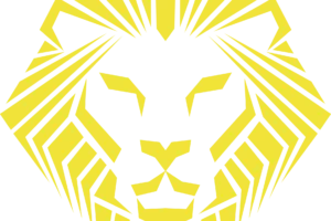 Elevate by Primal Athletics