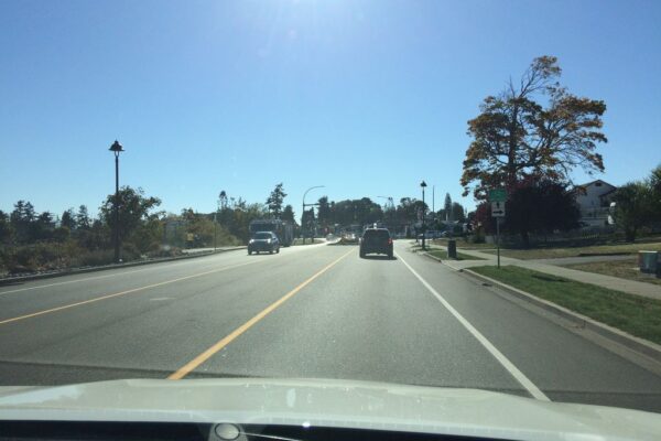 Classy Katz Continued