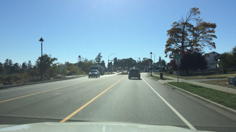 Classy Katz Continued