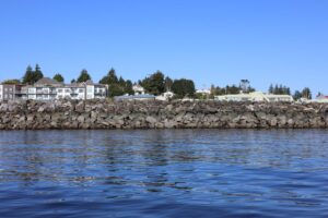 Dick’s Fish n Chips