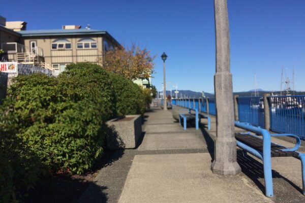 Historic Pier Street: Campbell River Waterfront, c. 1958