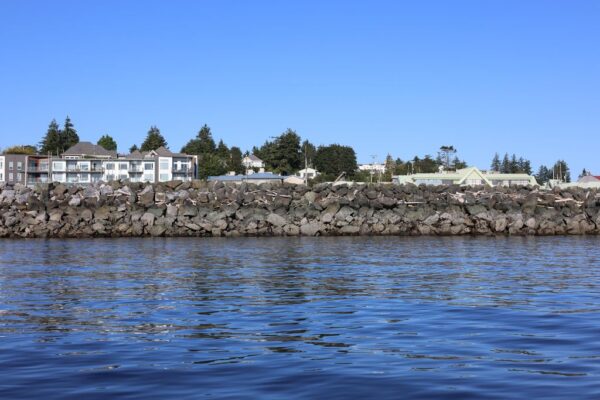 Dick’s Fish n Chips